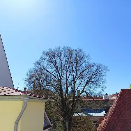 Sunny In The Middle Of Unesco Heritage *